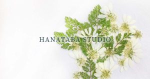 HANATABA STUDIOホームページ