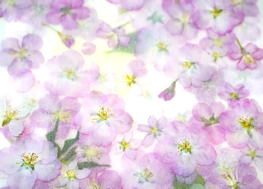 ピンクの桜と葉のプレスフラワー（押し花）