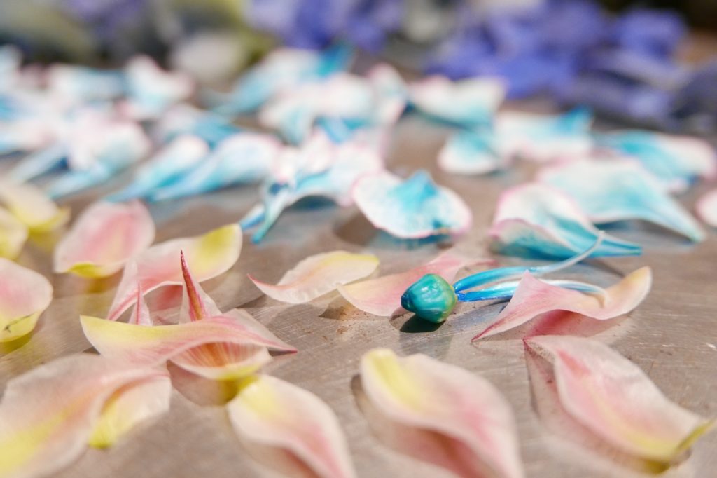 プレスフラワーの製作途中の風景、花びら