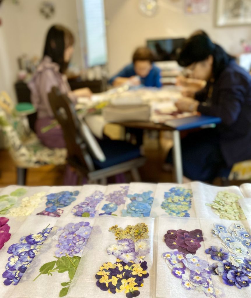 たくさんの押し花