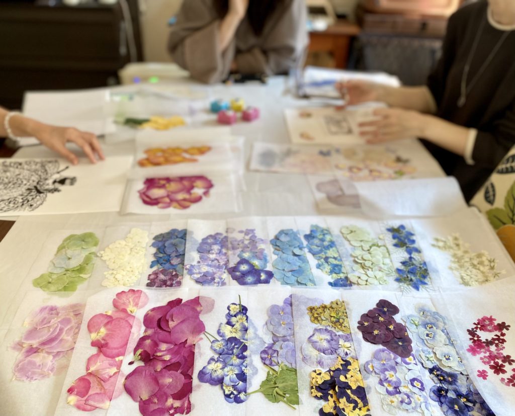 たくさんの押し花